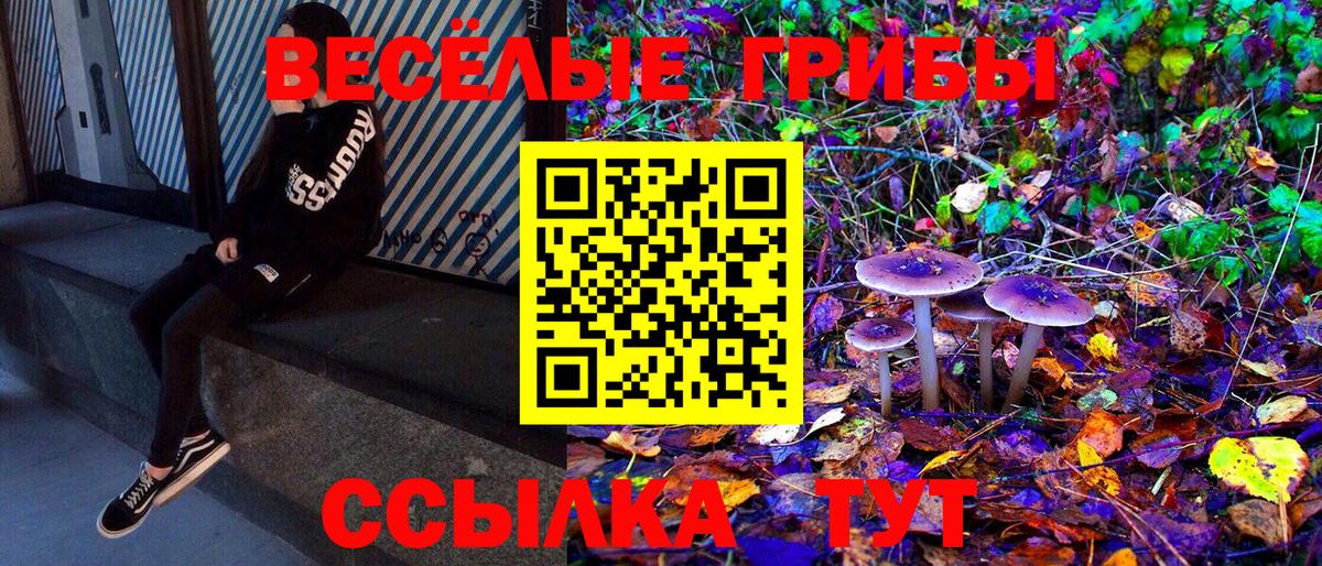 Галлюциногенные грибы MAGIC MUSHROOMS  Вход с VPN  Вязьма  Псилоцибиновые грибы Psilocybe 