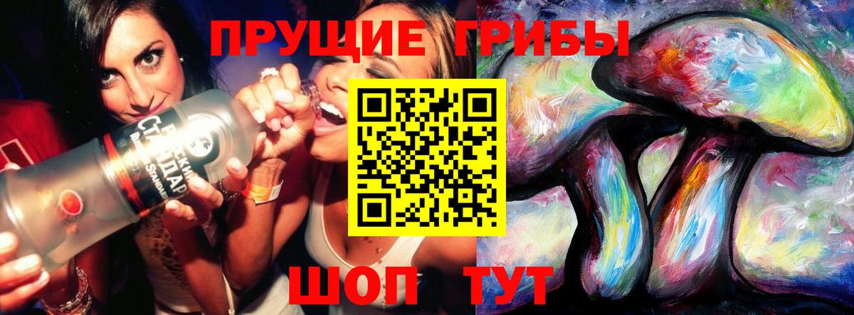 Псилоцибиновые грибы Psilocybe Вязьма
